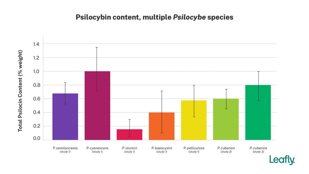 psilocybin content, different mushroom species
